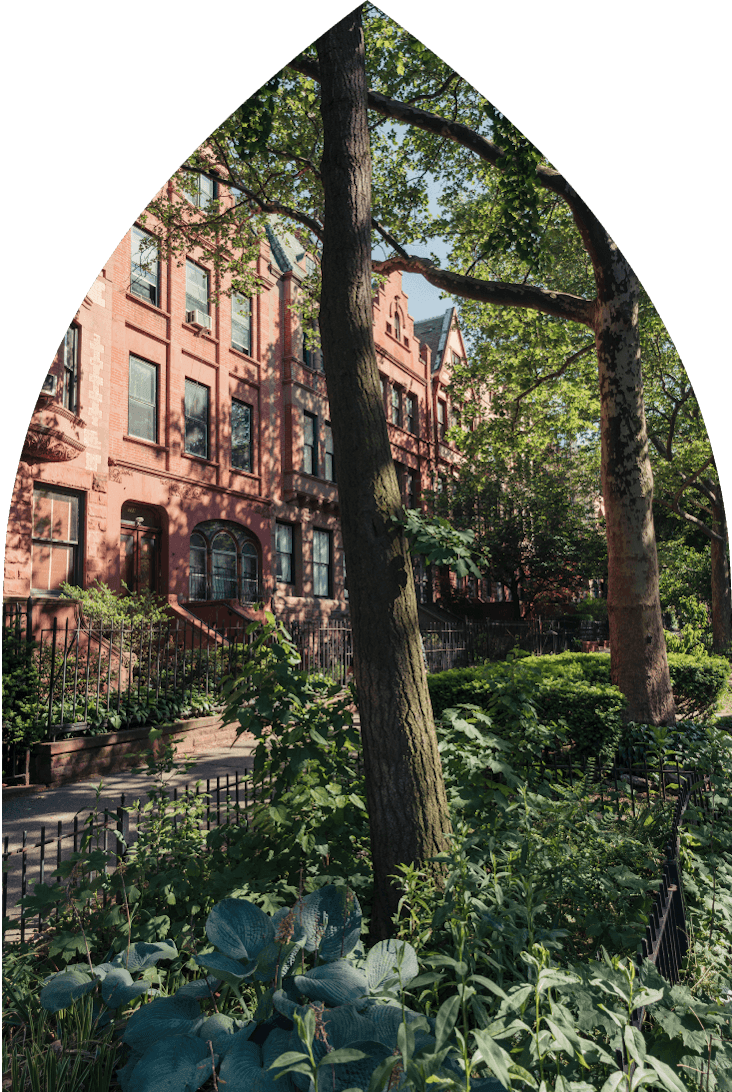 Beautiful tree-lined residential street in Hamilton Heights with greenery & brick building facade at 463 W 142 condos in Harlem.