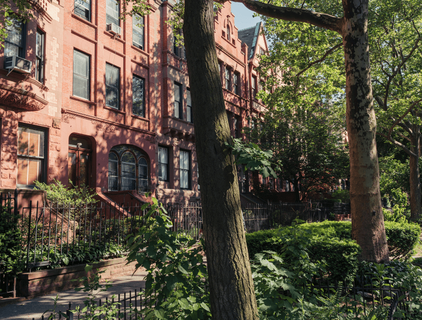 Beautiful tree-lined residential street in Hamilton Heights with greenery & brick building facade by 463 W 142 condos in Harlem.